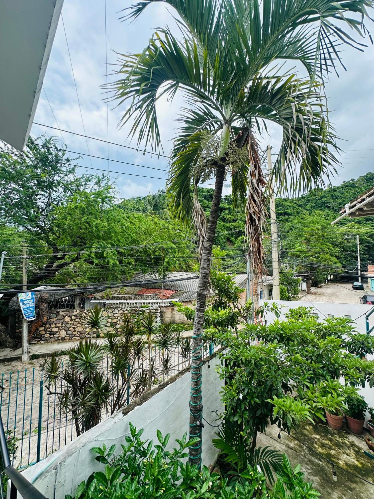 Appartamento Loft Rio Puerto Vallarta Esterno foto
